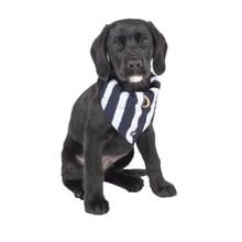 Hamptons Stripe Dog Bandana